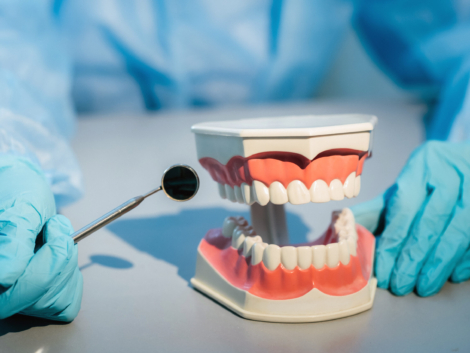 A dental doctor wearing blue gloves and a mask holds a dental model of the upper and lower jaws and a dental mirror.